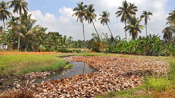 Negombo